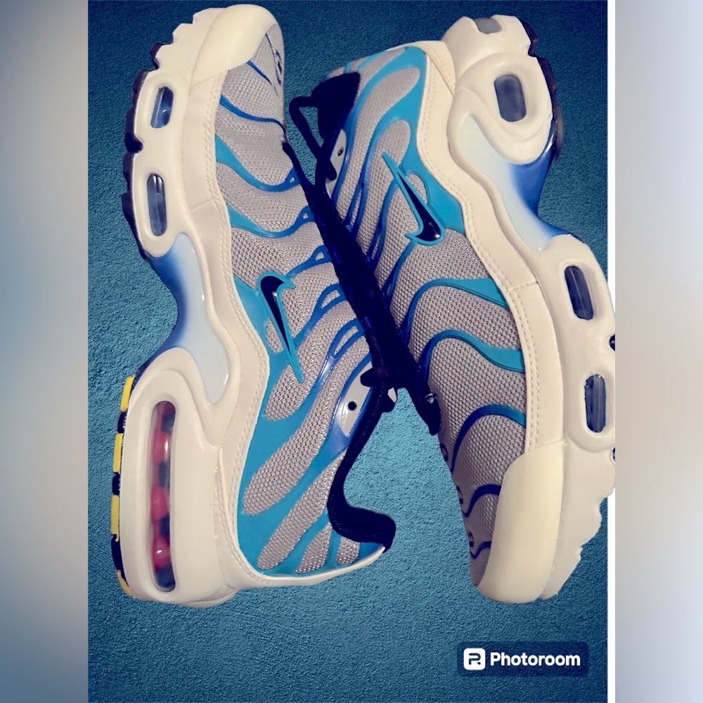 NIKE AIR MAX PLUS! Brand new inbox never worn!